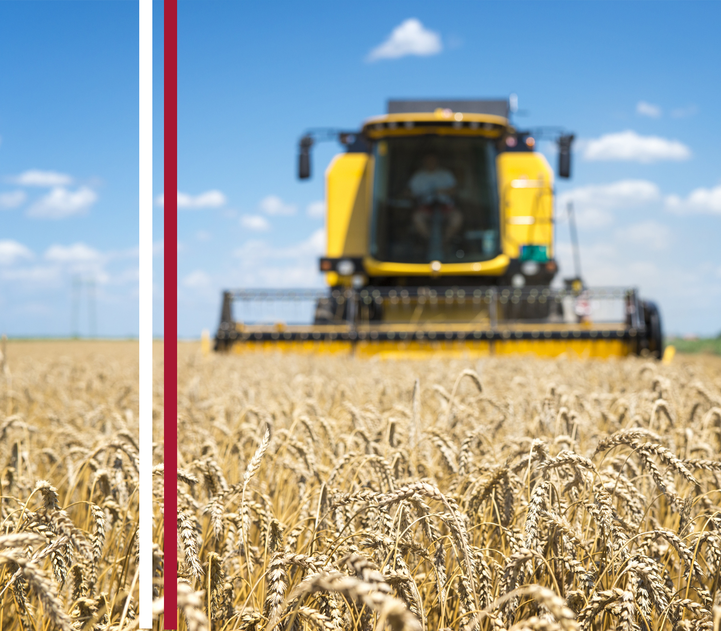 внедрение искусственного интеллекта