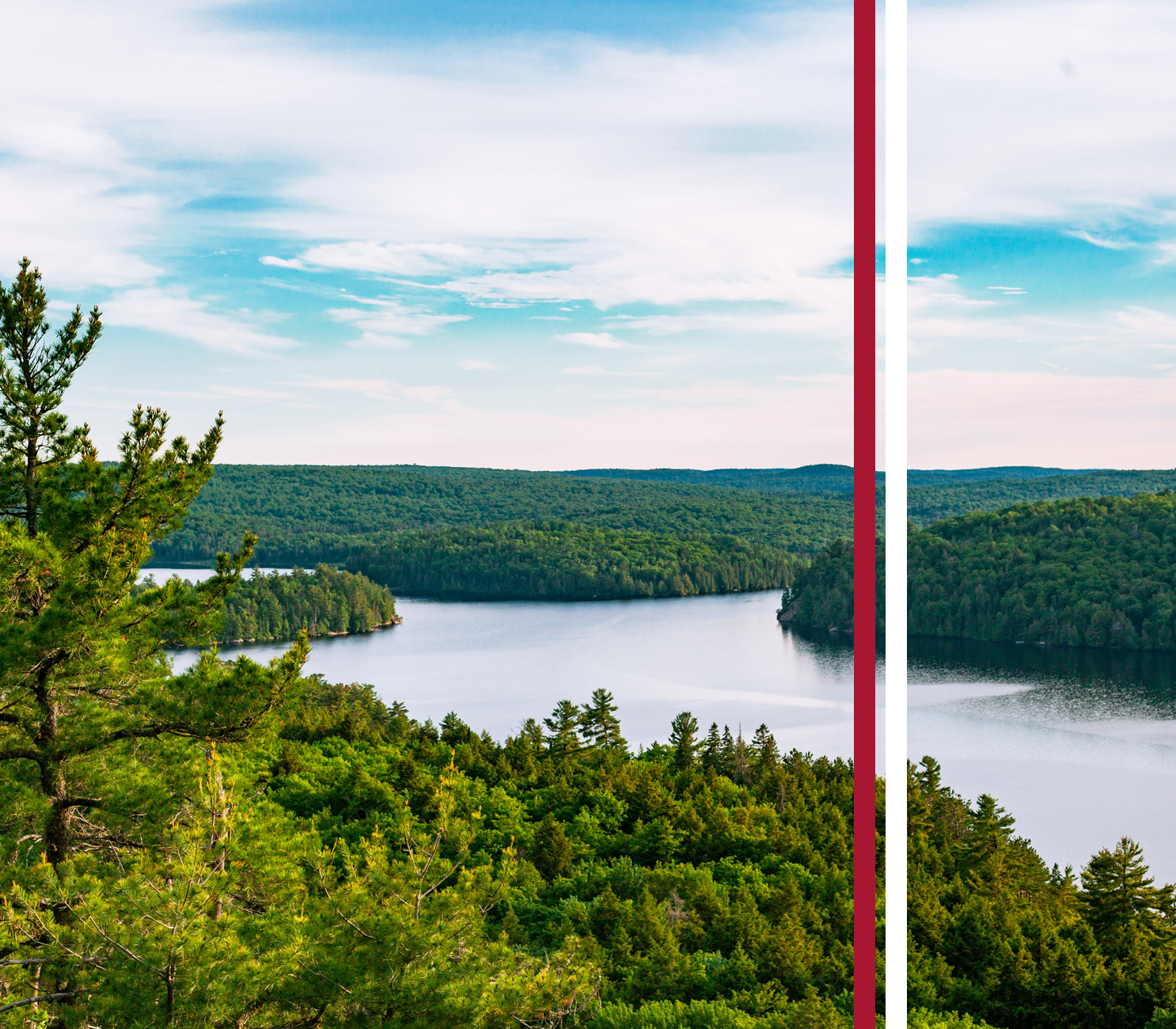 внедрение искусственного интеллекта